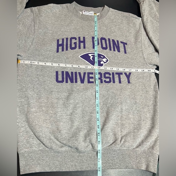 Champion High Point University Panthers Gray Crewneck Sweatshirt - Picture 6 of 10